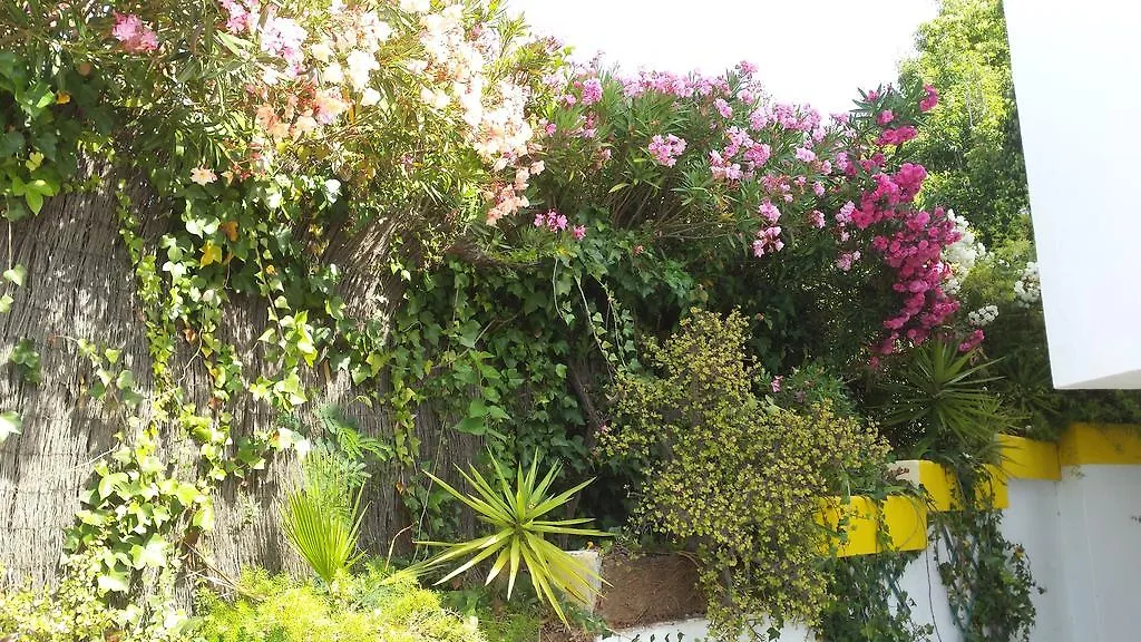La Gaspara'S Loft Estepona